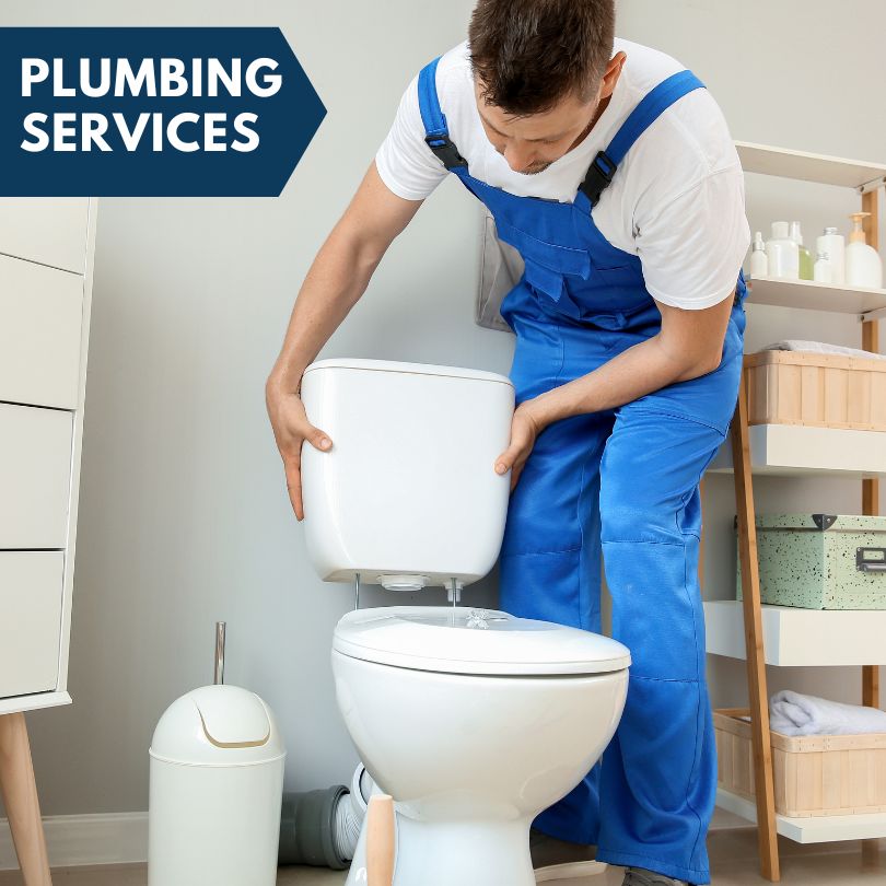 Plumbing Company in Herrick, IL